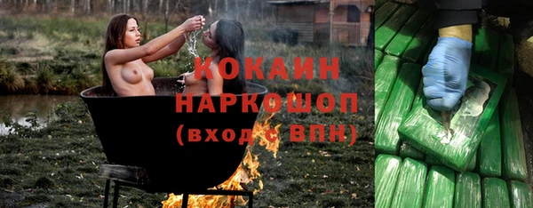 сатива Алексин