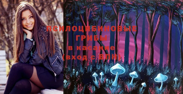 дмт Алексеевка